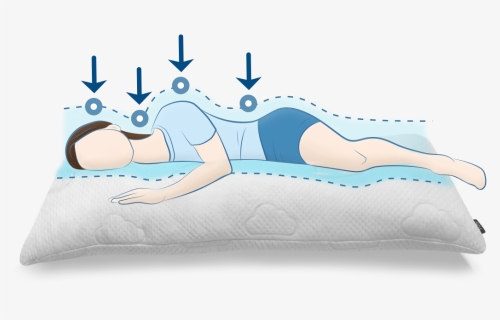 Full Body Support Pillow"      Src="//cdn - Illustration, HD Png Download, Free Download